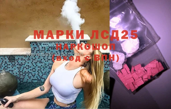 прущий лед Бородино