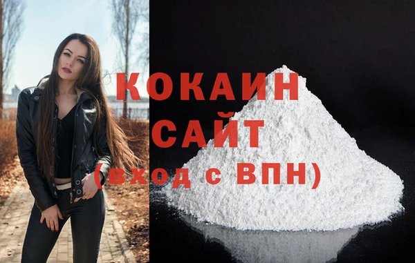 прущий лед Бородино