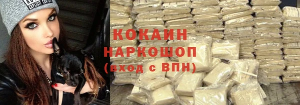 прущий лед Бородино