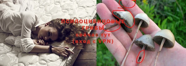 прущий лед Бородино